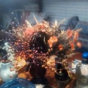 Meet your Posher, Freddie